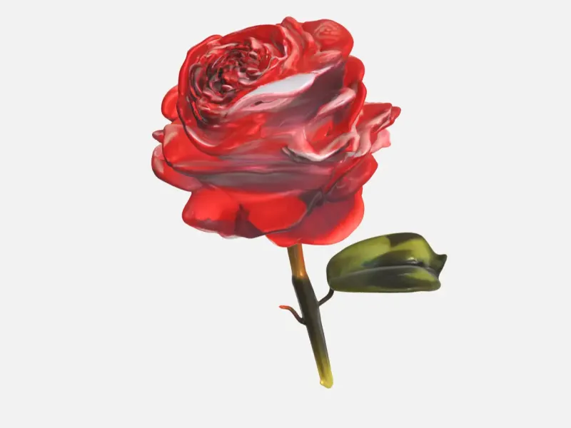 Eternal Rose