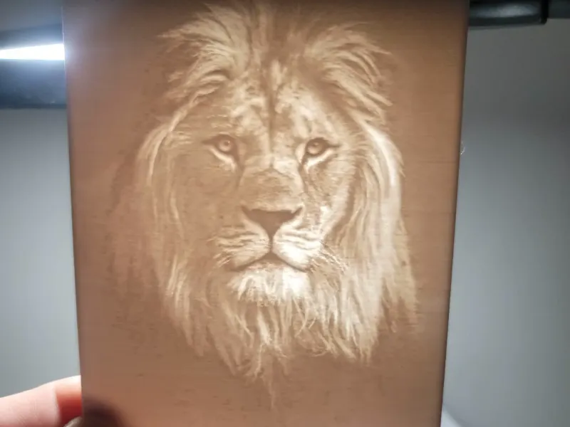 Lion Night Light Lithophane
