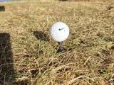 EZ WINTER GOLF TEES and INSERTS-4