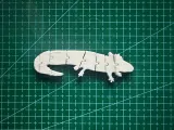 Flexi Axolotl-1