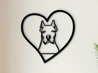 Cœur Dogue Argentin