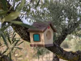 Cute Bird House-9