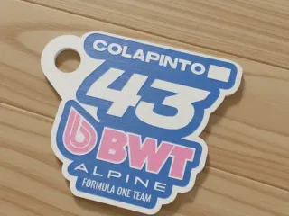 LLAVERO COLAPINTO ALPINE