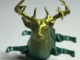 CERF ARTICULÉ-0