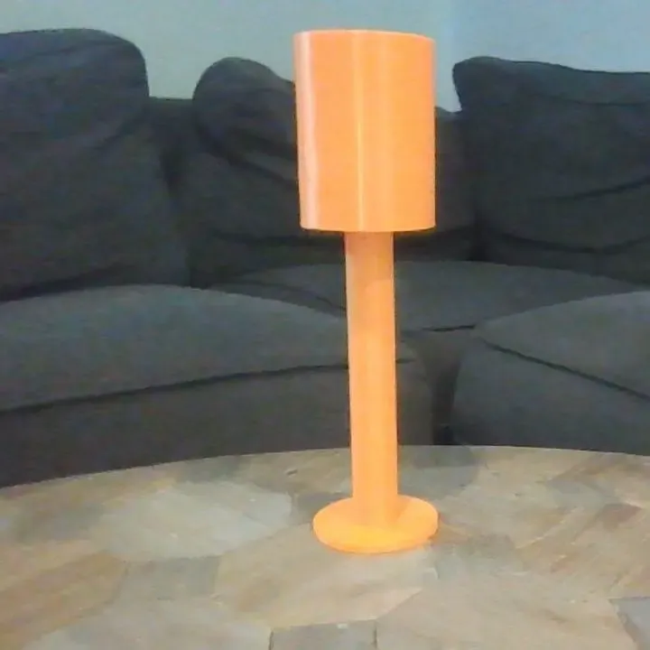 Beach Can Holder