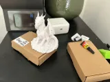 Skullbound Dragon-7