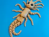 BABY SQUID ALIEN MIB-3