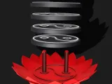 Lotus Blossom Yin Yang Coaster Set-3