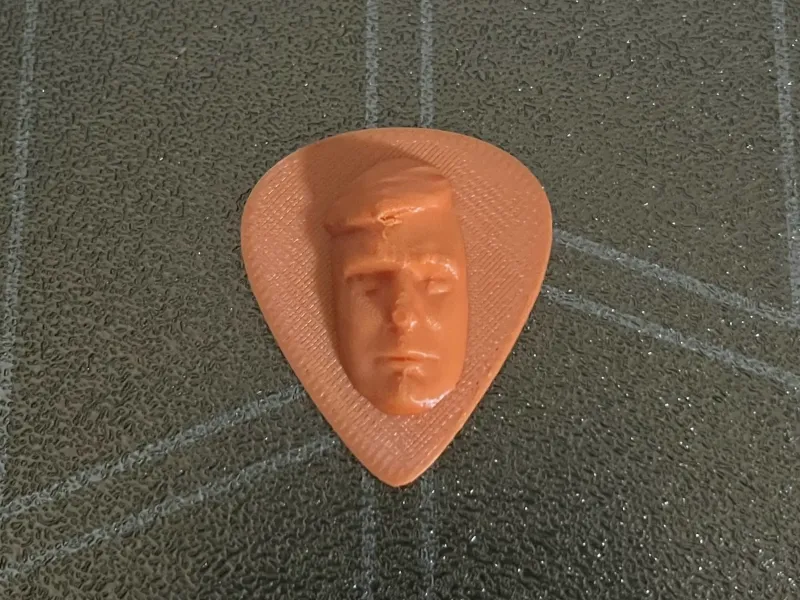 Trump guitar pick