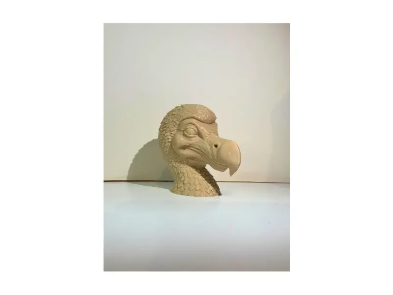 Dodo head