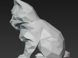 cat-4