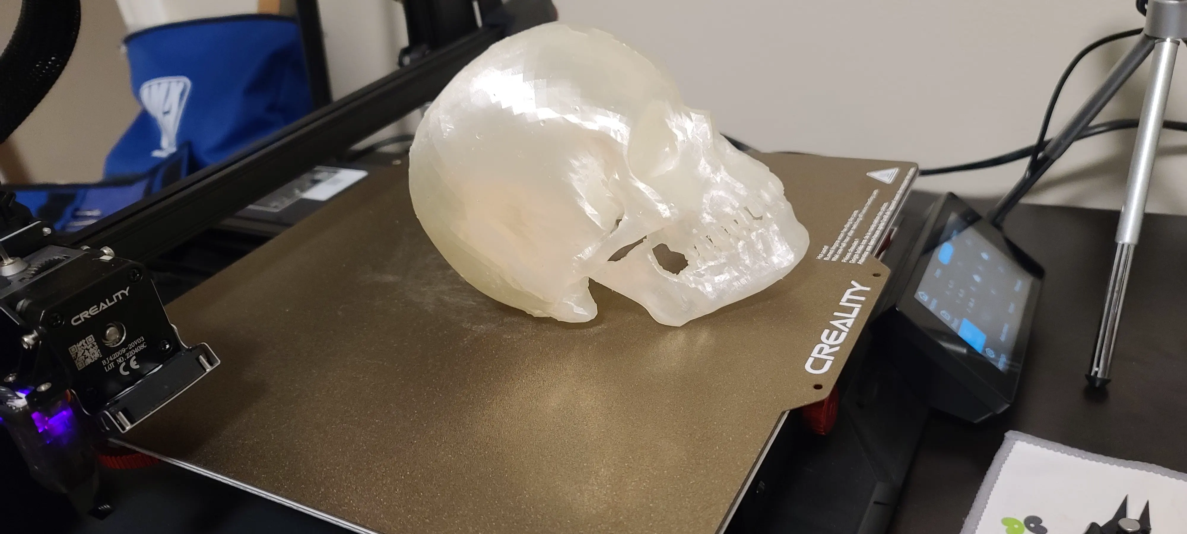 Skull Imported from Microsoft 3D Builder