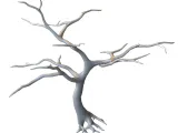 Dead Barren Tree STL-0