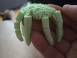 Ext— Flexible Jellyfish-3