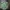 Arte de pared grande del escudo de Slytherin sin necesidad de CFS