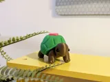 Cute Turtle Multipart Toy-4