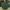 Christmas tree ornament 4