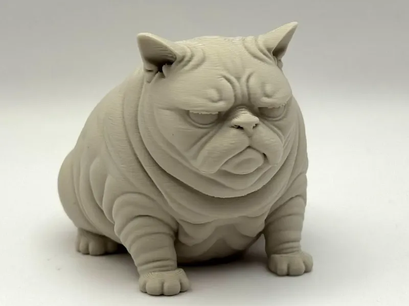 Wrinkles il Gatto