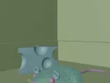 Queso de ratón-1