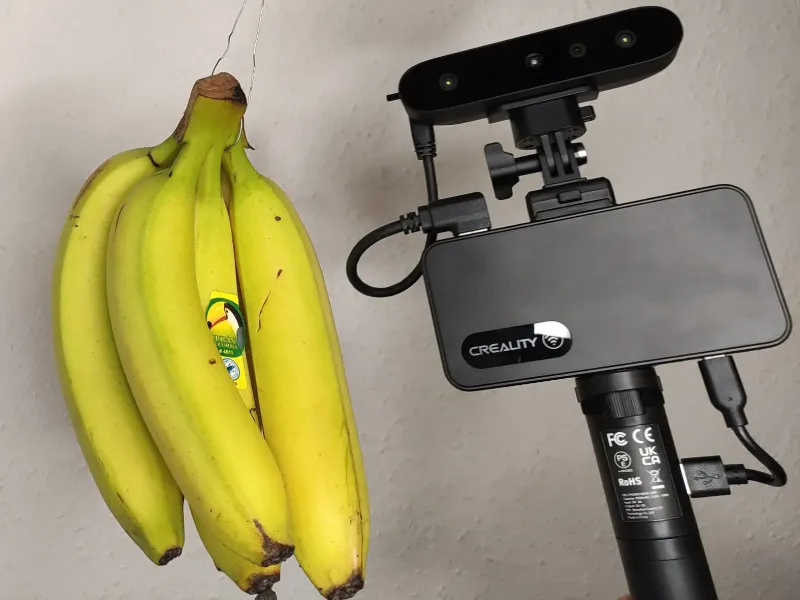 A Hand of Bananas 3D Scan