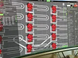 Two Ladybugs Paperclip-4