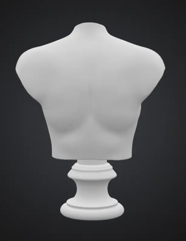 Busty Bust