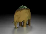 Elephant-6