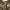 Nude Greek Statue 1