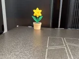 Daffodil Flower Pot-4