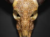 Bill, the Buffalo Skull-1