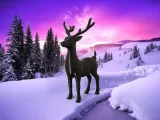 Deer v1.0-2
