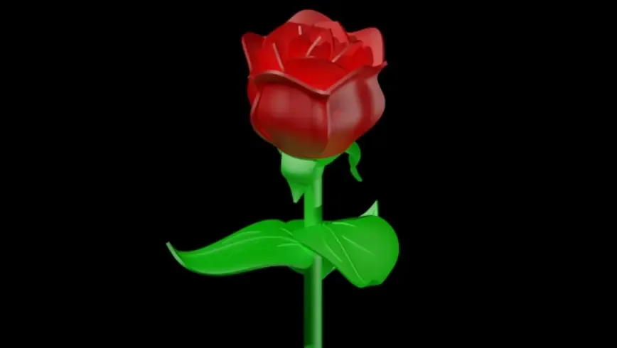 Rose- Valentines