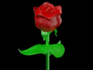 Rose- Valentines