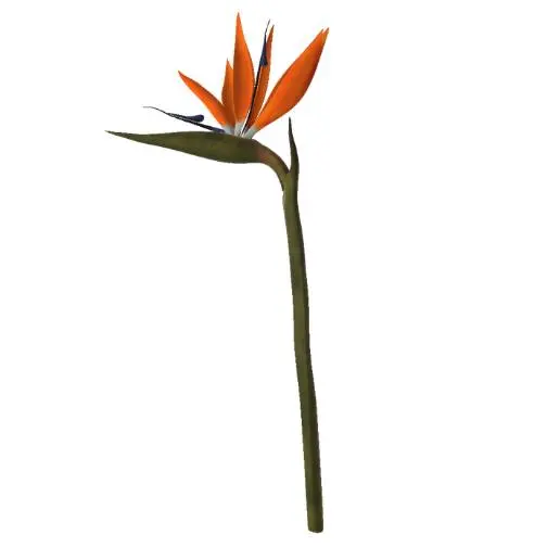 Bird of Paradise Flower 3D Model STL Printable