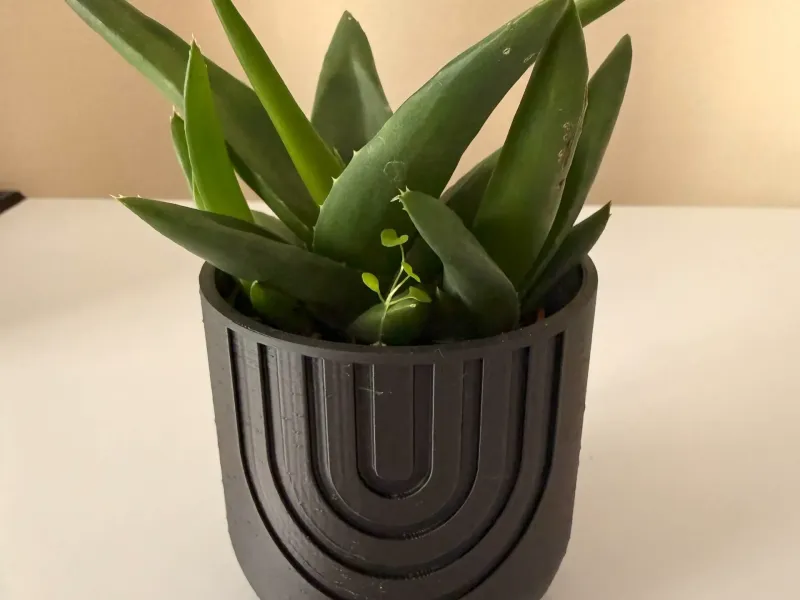 Vaso de flores pequeno