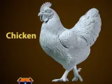 Chicken steps decor urban vibes-0