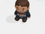 Patriots Fan-0