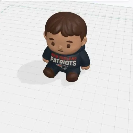 Patriots Fan