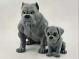 Модель Кане-корсо-1