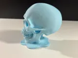 Ice Skull-2