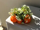 Pumpkin patch planter-1