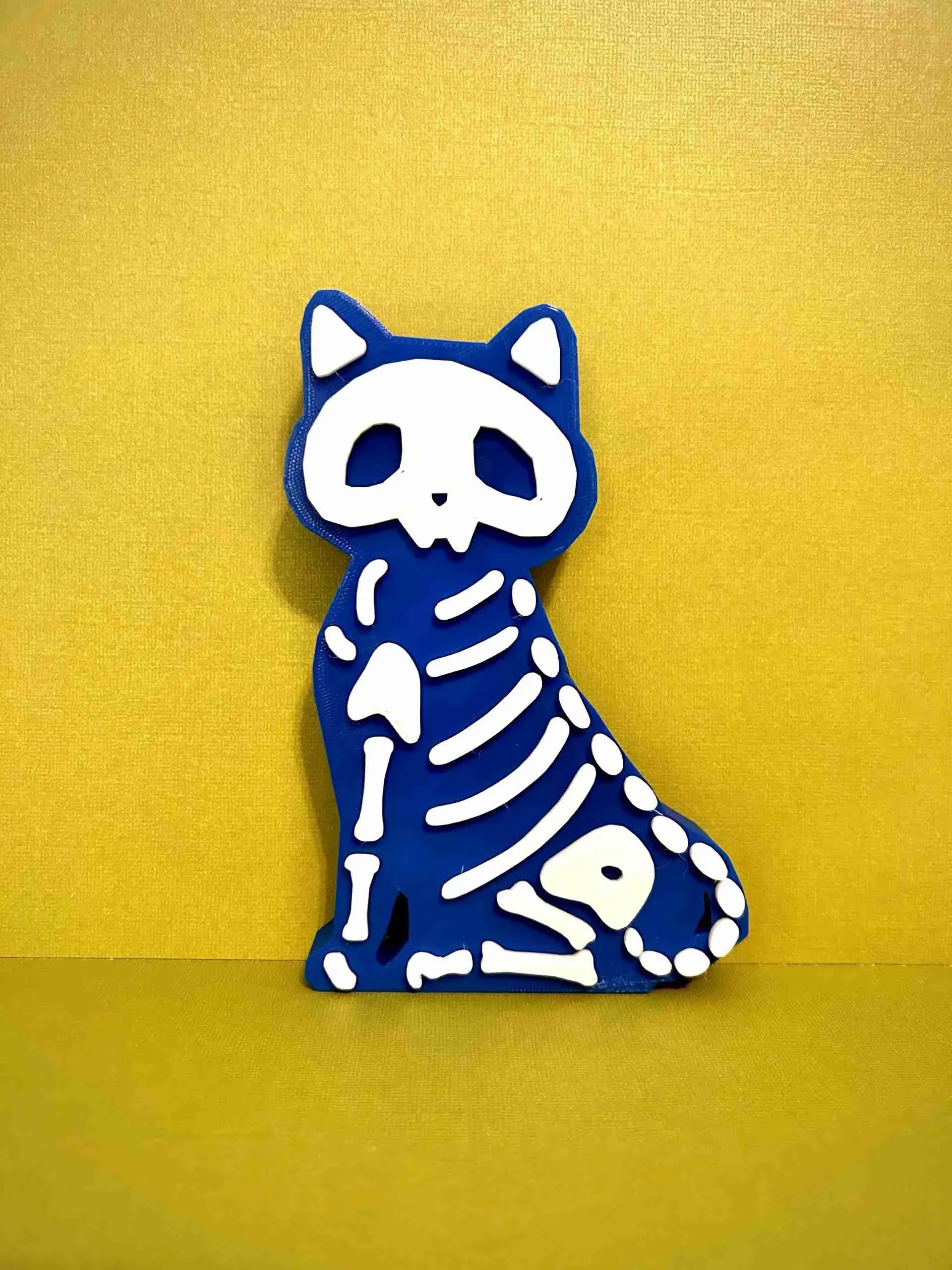 Cute Cat Skeleton