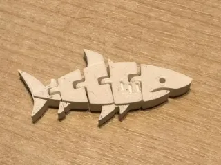 Flexi Shark