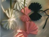 Decorative Bow 🎀-0
