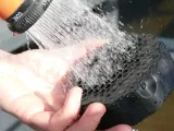 Hydrofoil Screw Box-1