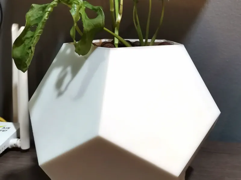 Penta Pot