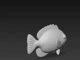 peixe 2-1