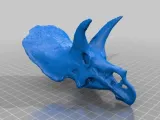 Dinosaur skull-0