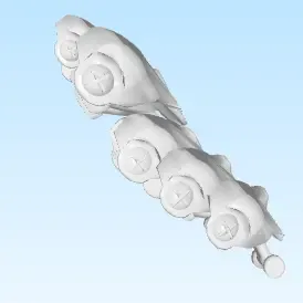 Flexi Vertebrate Cartilage For Mammals