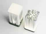 Altheon - Soft light. Living lines.-5
